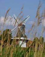 Landschaft - Meerzeit - Top-Hundeurlaub