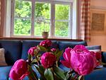 Haus Ahrens - Top-Hundeurlaub