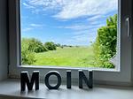 Landschaft - Wiesensicht - Top-Hundeurlaub