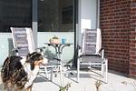 Terrasse - Apartment 0.2 (Seepferdchen) - Top-Hundeurlaub