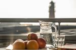 Balkon - Apartment 2.5 - Top-Hundeurlaub