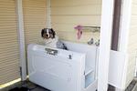 Hundedusche - Haus Lachmöwe, Susanne-Fischer Weg 19 - Top-Hundeurlaub