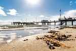 Blick über den Strand - Königstraße 5, Whg. 5, Atlantischer Hof - Top-Hundeurlaub