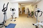 fit im Urlaub - Dörpstraat 9, Whg. 3 - Top-Hundeurlaub