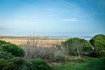 Gartenblick - Haus Wattenblick - Top-Hundeurlaub