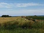 Reetdachhaus Holunder 1 - Top-Hundeurlaub