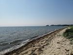 Reetdachhaus Holunder 1 - Top-Hundeurlaub