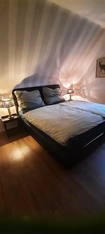 Ferienhaus Wibbecke im Westerwald - Top-Hundeurlaub