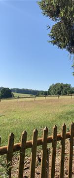 Ferienhaus Wibbecke im Westerwald - Top-Hundeurlaub