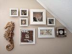 Riedefix - Top-Hundeurlaub