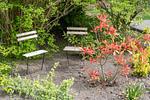 Garten - Seegras - Top-Hundeurlaub