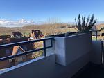Balkon - Berolina 331 - Abendrot - Top-Hundeurlaub