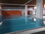 Pool - Berolina 331 - Abendrot - Top-Hundeurlaub