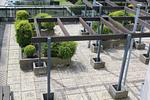 Terrasse - Berolina 331 - Abendrot - Top-Hundeurlaub