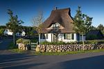 Hauptansicht - Ferienhaus Seeadler 42 - Top-Hundeurlaub