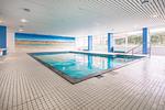 Pool - 52 - Top-Hundeurlaub