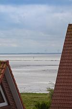 Meerblick - Brombeere - Top-Hundeurlaub