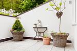 Terrasse - Rosengarten - Top-Hundeurlaub