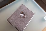 Dekoratives Detail - 12 - Top-Hundeurlaub