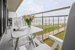 Meerblick - 6.12 - Top-Hundeurlaub