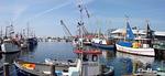 17 Ferienwohnung "Horizont" App.56-204 mit Balkon & Meerblick - Top-Hundeurlaub