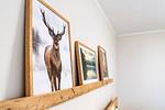 Ferienwohnung 304 - Top-Hundeurlaub