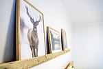 Ferienwohnung 304 - Top-Hundeurlaub