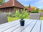 Terrasse mit dekorativem Detail - Wohnung 070 - EG - Top-Hundeurlaub
