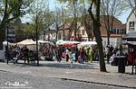 46 Ferienwohnung Burg - Top-Hundeurlaub