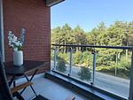 Balkon - FeWo A3.3 - Top-Hundeurlaub