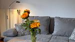 Wohnzimmer - FeWo 10 - Top-Hundeurlaub