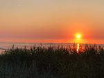 Strand - Whg. 4 - Top-Hundeurlaub