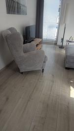 Wohnzimmer - Ferienwohnung Caroline - Top-Hundeurlaub