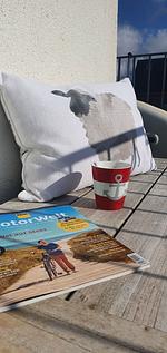 Dekoratives Detail - Ferienhaus Seeperle Smuk - Top-Hundeurlaub