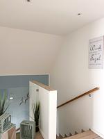 Dekoratives Detail - Ferienhaus Seeperle Skartje - Top-Hundeurlaub