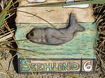 Dekoratives Detail - Wohnung Seehund - Top-Hundeurlaub
