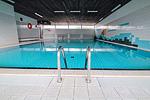 Pool - 1308 - Top-Hundeurlaub