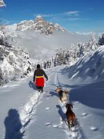 Hotel Veneranda - Top-Hundeurlaub