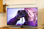 TV / Multimedia - AS18 - Top-Hundeurlaub