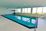 Pool - AS32 - Top-Hundeurlaub