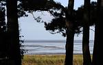 F112 - Top-Hundeurlaub