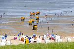 Strand - HZ09 - Top-Hundeurlaub