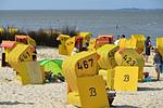 MB31 - Top-Hundeurlaub
