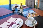Balkon - PB05 - Top-Hundeurlaub