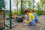 EuroParcs Hoge Kempen - Top-Hundeurlaub