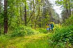 EuroParcs Hoge Kempen - Top-Hundeurlaub