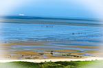 Meerblick - SF08 - Top-Hundeurlaub