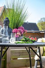 Terrasse - Sylter Dünengras - Top-Hundeurlaub