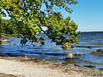 Hafenresidenz Lauterbach FeWo 5-5 - Top-Hundeurlaub