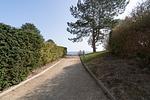 Strand - White Pearl 52 - Top-Hundeurlaub